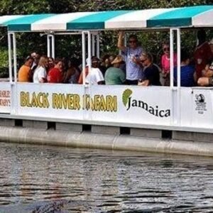 Black River Safari & YS Falls Combo Tour Package