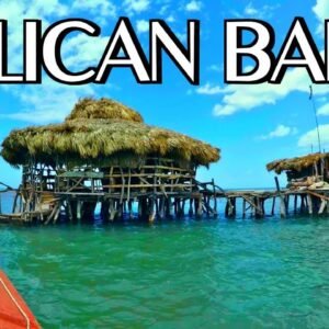 Pelican Bar & Appleton Rum Tour Combo Tour Package