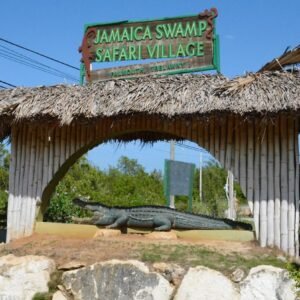 Swamp Safari Tour , Falmouth, Jamaica